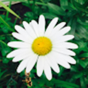 Meet your Posher, Nadia